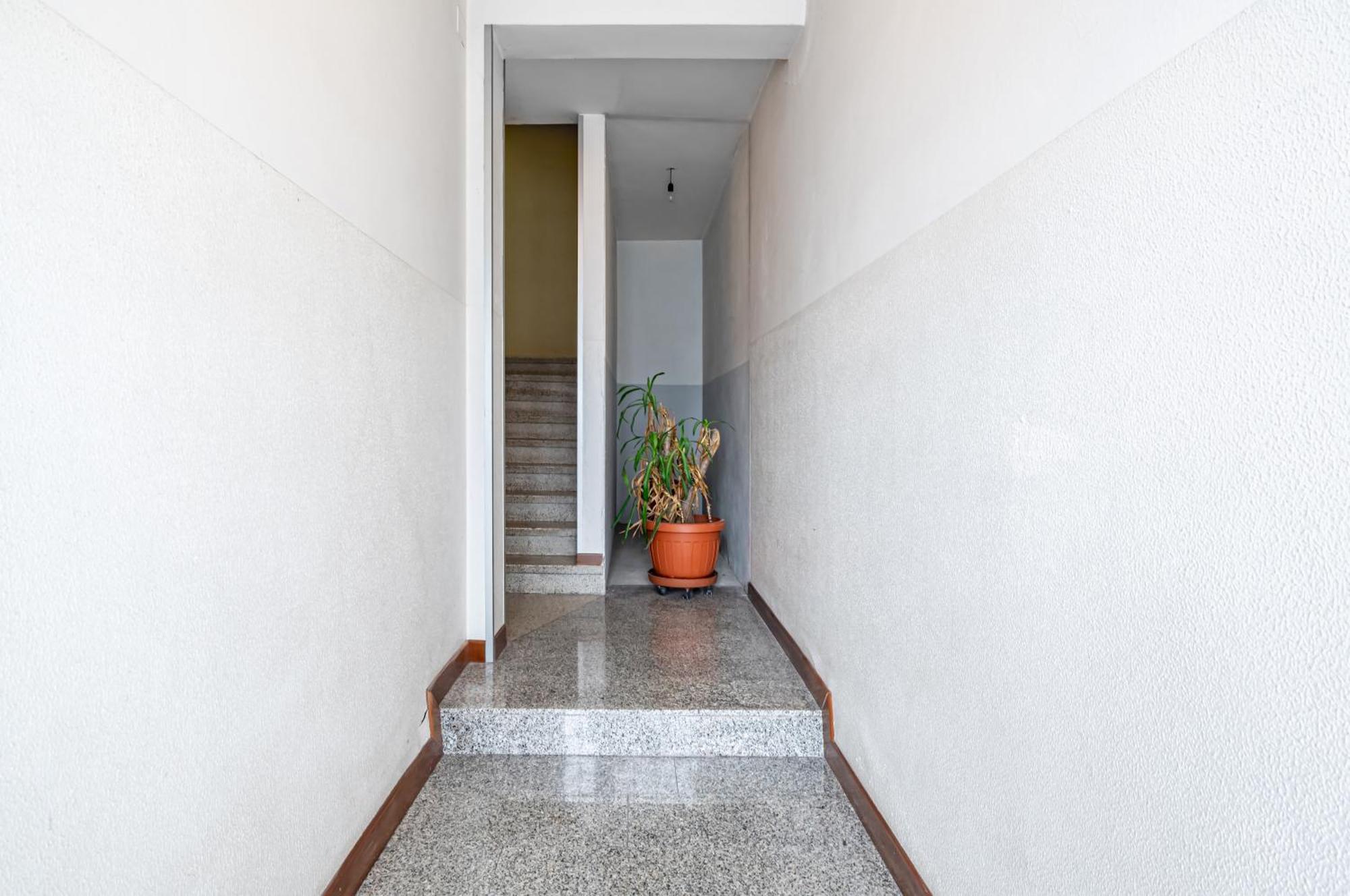 San Vincenzo Apartments 1 - 2 - 4 Вигонца Екстериор снимка